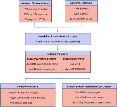 Identification of potential drug targets for insomnia by Mendelian randomization analysis based on plasma proteomics